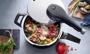 زودپز 11 لیتری روگن آلمان مدل RU-6080