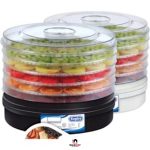 میوه خشک کن 5 طبقه دیجیتال اسپیرو مدل SP-170